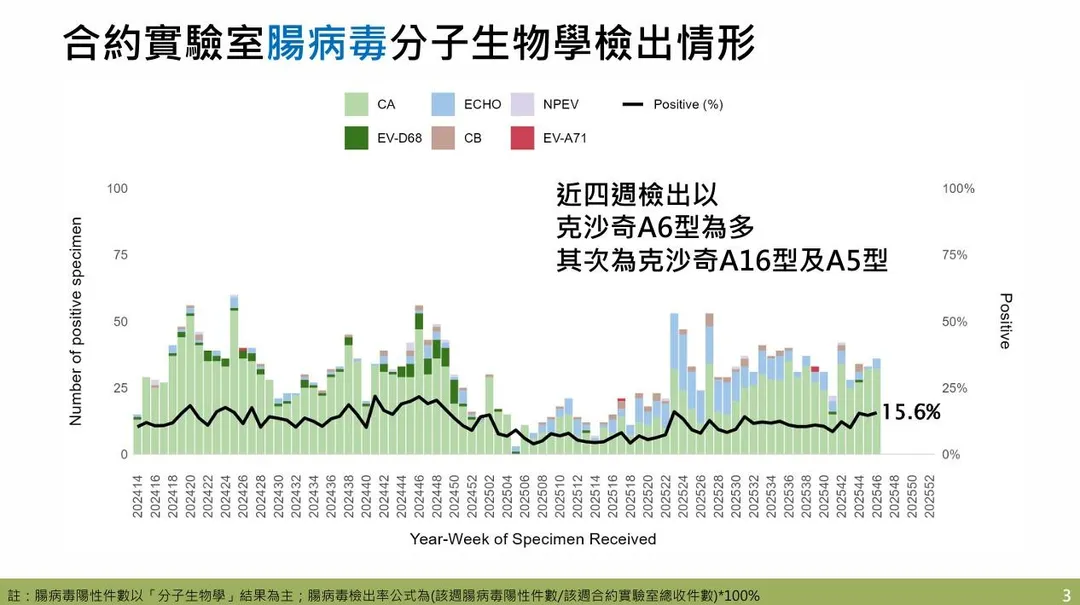 社區腸病毒以克沙奇A6型為主要流行型別，其次為克沙奇A16型及克沙奇A5型。（圖／疾管署）