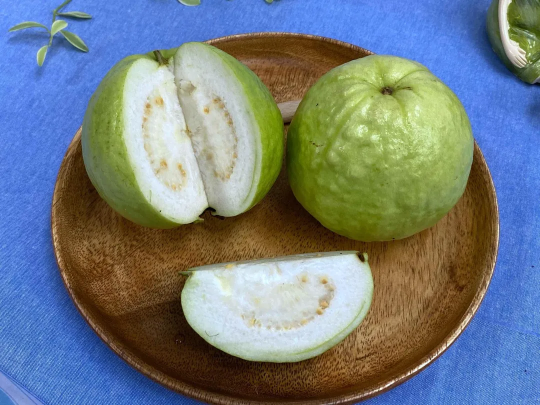 芭樂富含維生素C。(圖/農業部高雄區農業改良場提供)