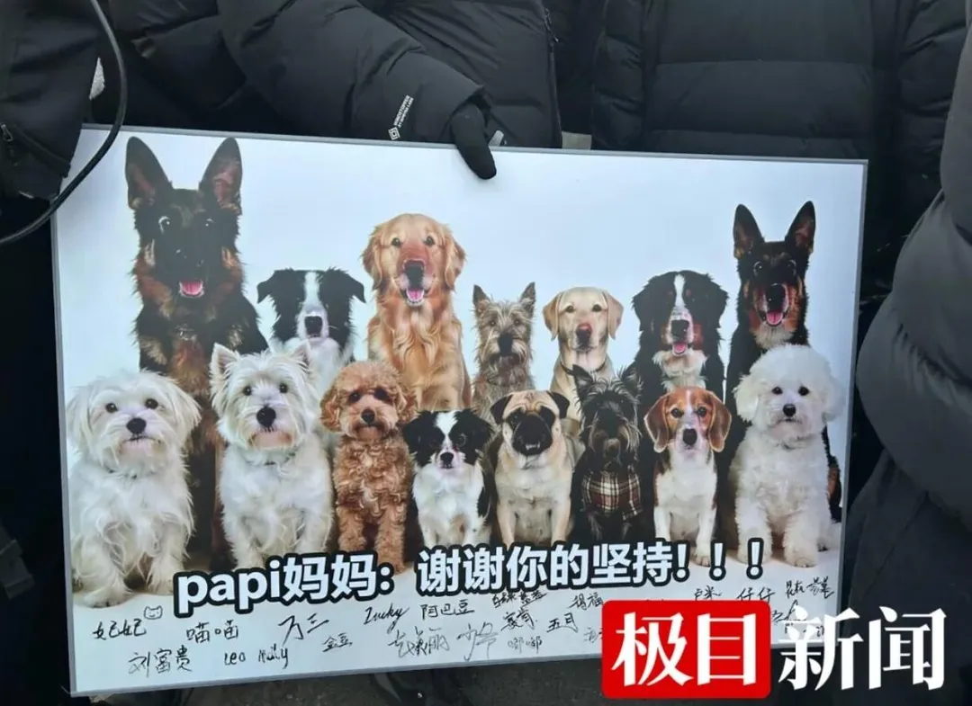 愛狗人士帶來寵物合照支持李女士牌子。（圖／翻攝極目新聞）