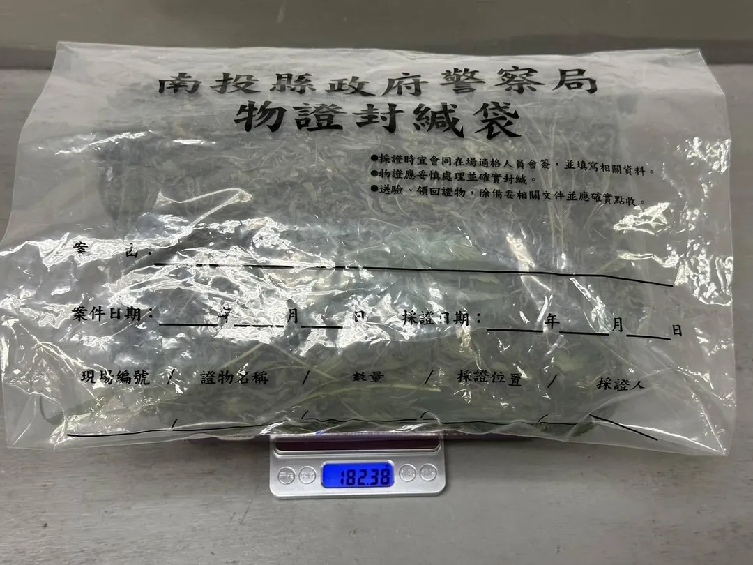 南投楊姓男子因欠債，被債主要求種大麻抵債。（圖／警方提供）