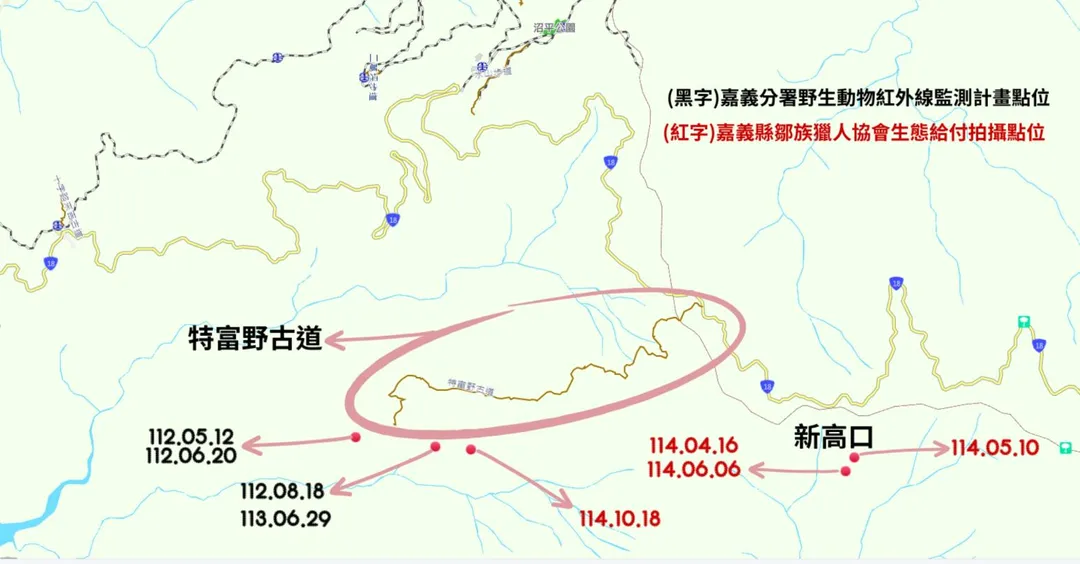 林業保育署嘉義分署及嘉義縣鄒族獵人協會近年於特富野古道周邊拍攝到台灣黑熊出沒紀錄。（圖／農業部林業及自然保育署嘉義分署提供）