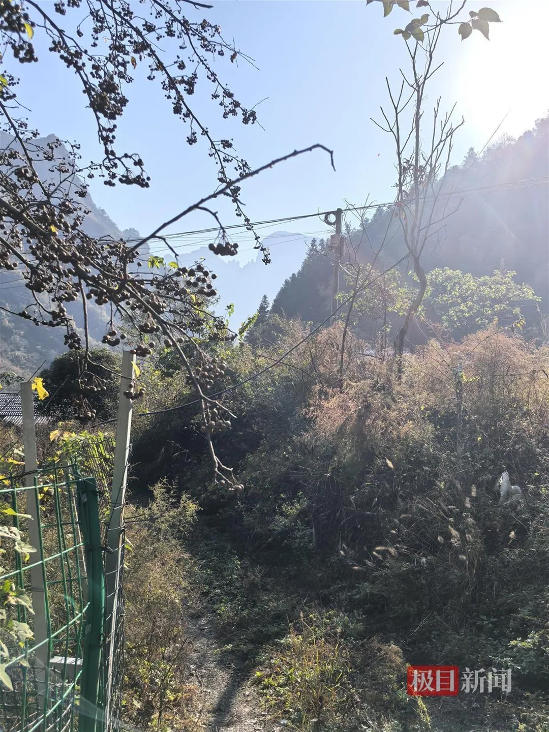 荒野求生挑戰賽決賽進行的山區。（圖／翻攝《極目新聞》）