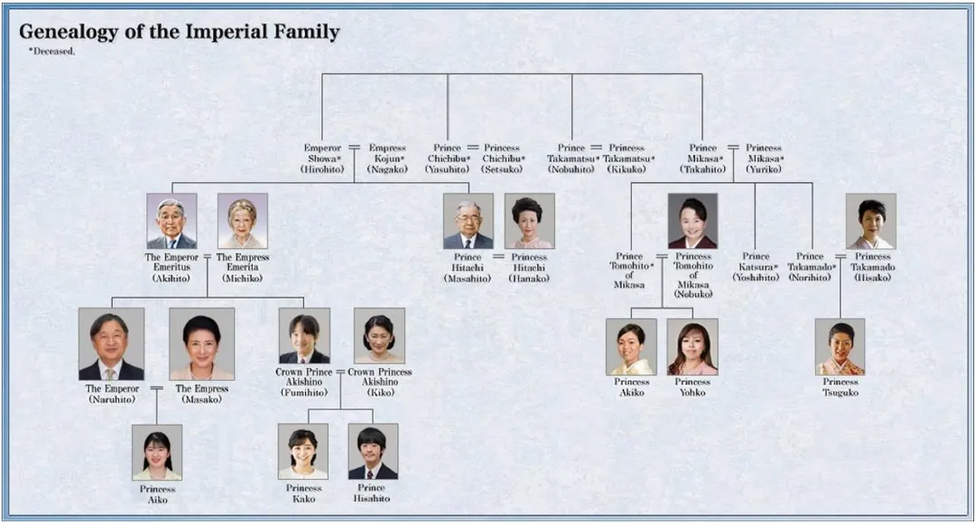日本皇室家譜。（圖／翻攝日本宮內廳官網）