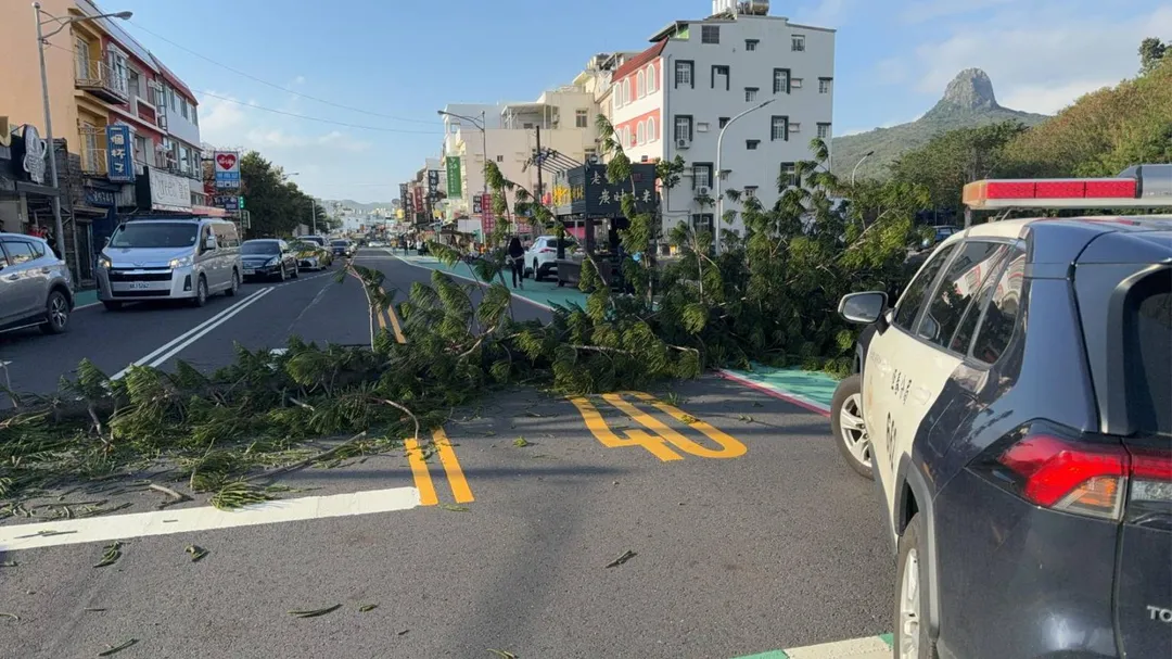屏東縣墾丁大街於14日下午3時許，發生路樹倒伏事件，原因是遭遇強勁的落山風，導致一棵行道樹倒塌於車道上，瞬間阻斷了交通。（圖／翻攝畫面）