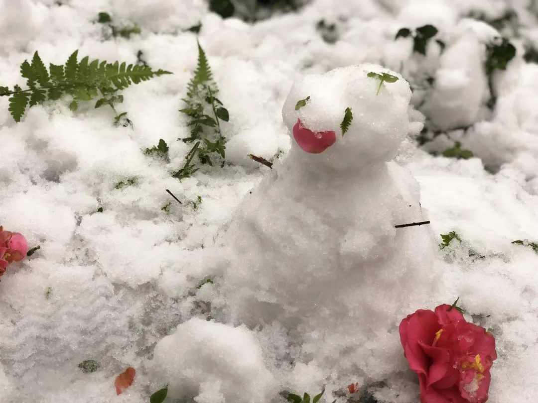 中部及東部高山地區，海拔3000公尺以上的地方也有可能出現降雪或冰霰的情況。（資料圖／中天新聞）