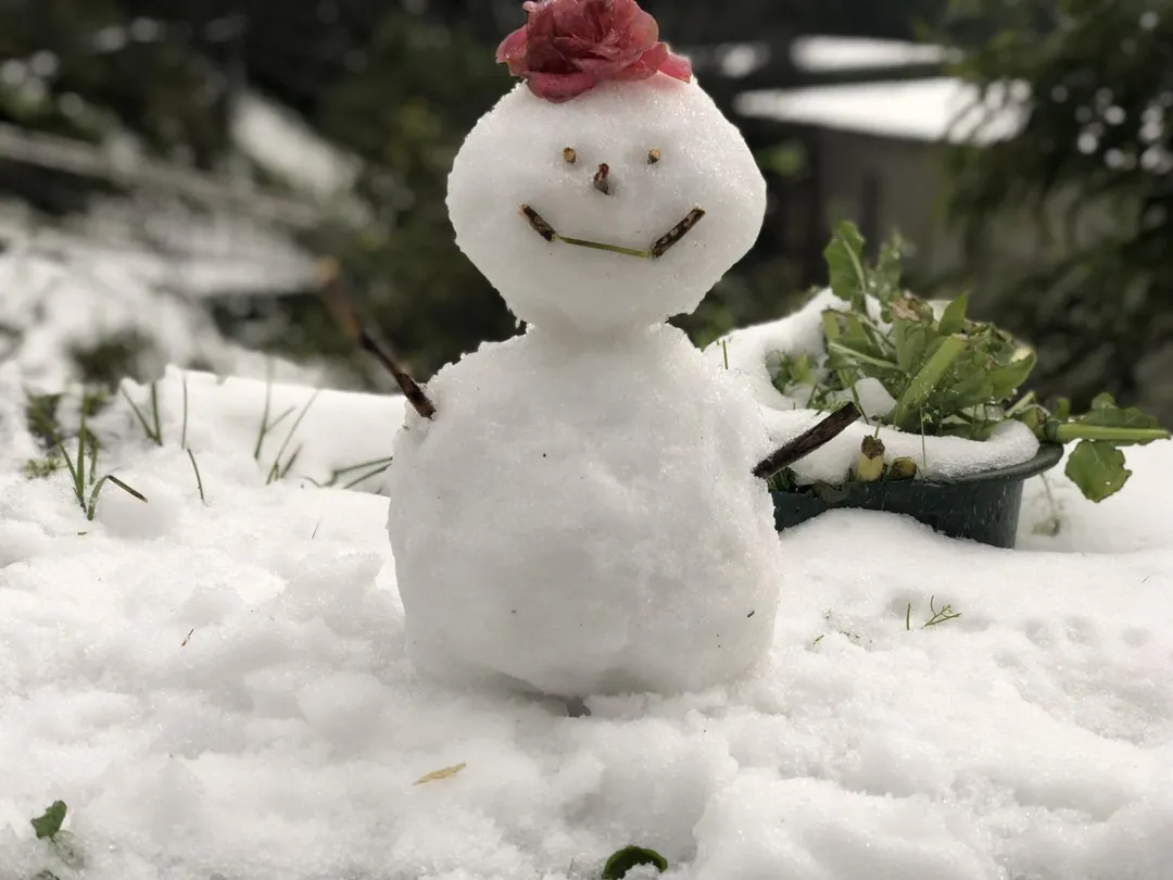 中部及東部高山地區，海拔3000公尺以上的地方也有可能出現降雪或冰霰的情況。（資料圖／中天新聞）