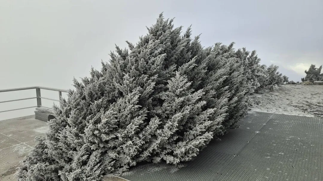低溫與水氣配合得宜，玉山北峰26日清晨6時28分起飄下雪花。（圖／中央氣象署提供）