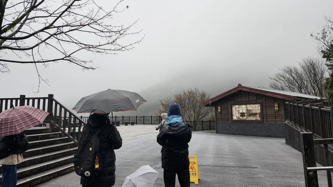 遊客一早上山賞景。（圖／林保署提供）