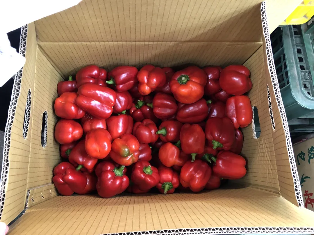 臺北市第二果菜批發市場19-09攤的彩色甜椒來自南投縣。(圖/臺北市衛生局)