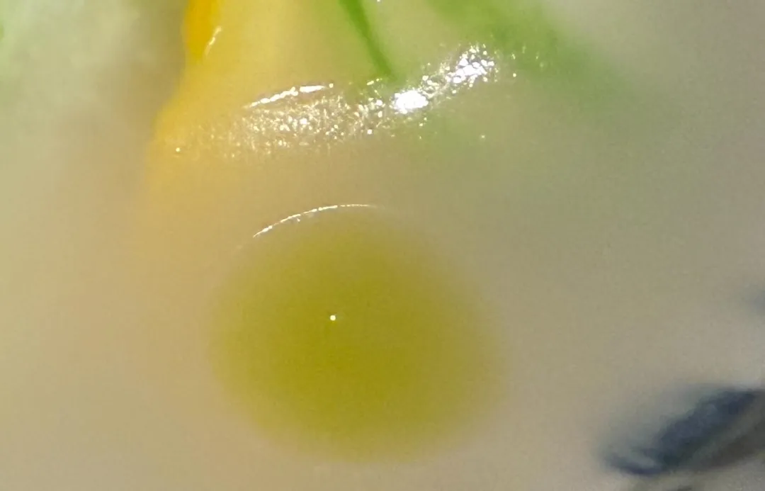 勾芡高湯滴上綠蔥油,結合8種乾炒青菜完成「十香味大融合」。(圖/黃宏輝提供)