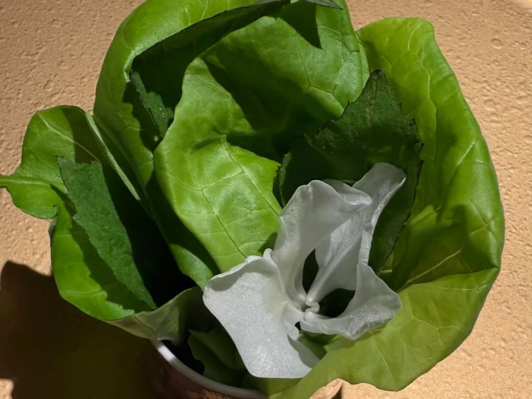 盤中3種菜蔬讓這道和牛有3種吃法。(圖/黃宏輝提供)