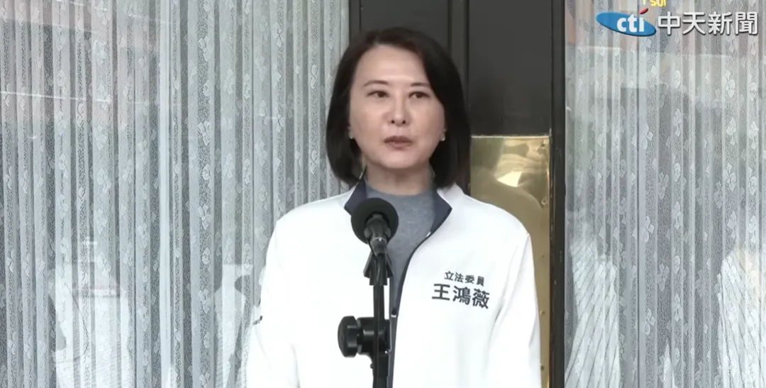 王鴻薇。（圖／中天新聞）