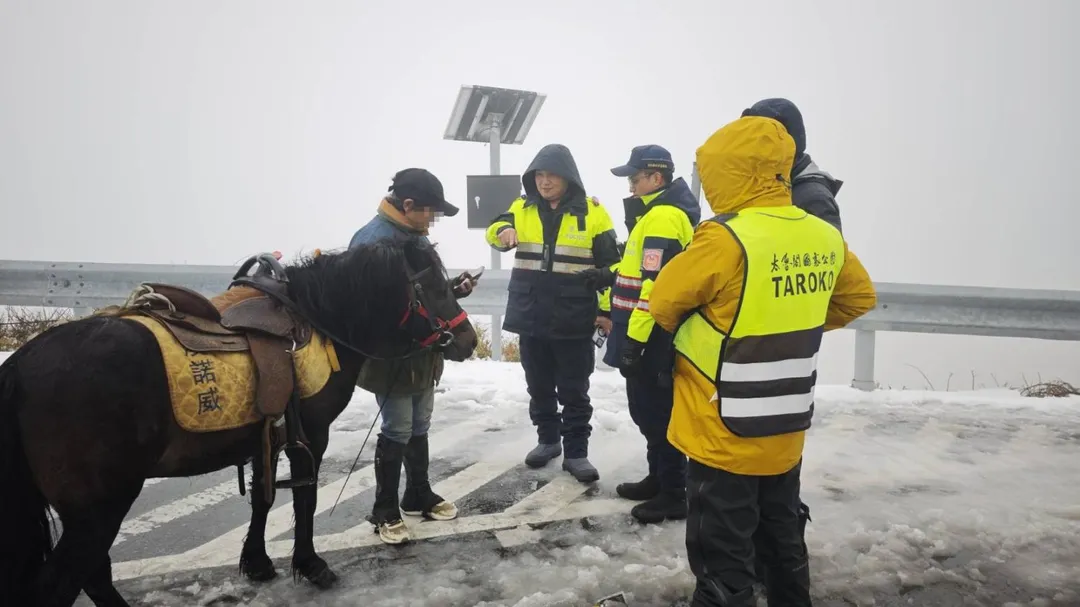 許多民眾到合歡山追雪，竟然有人帶著一匹馬到武嶺。（圖／太魯閣國家公園管理處提供）