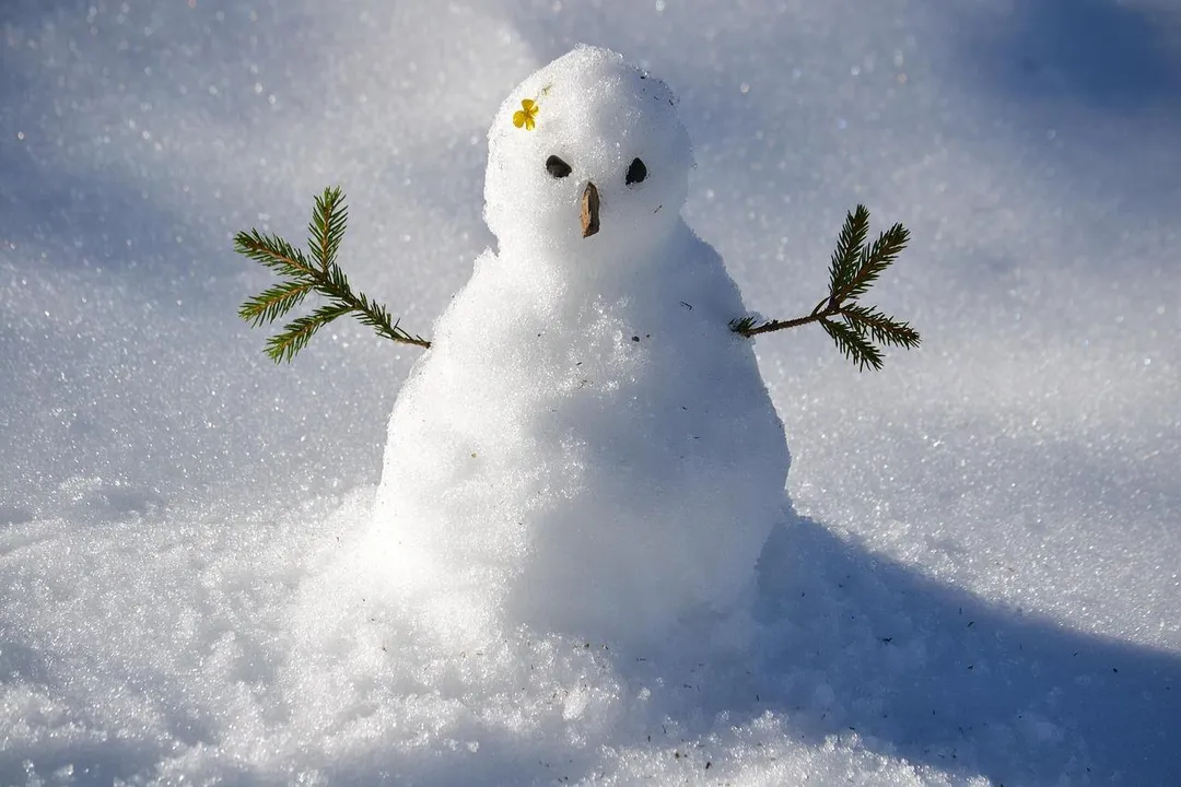 地球氣候越來越極端,沙烏地阿拉伯竟降下白雪。(示意圖/PIXABAY)