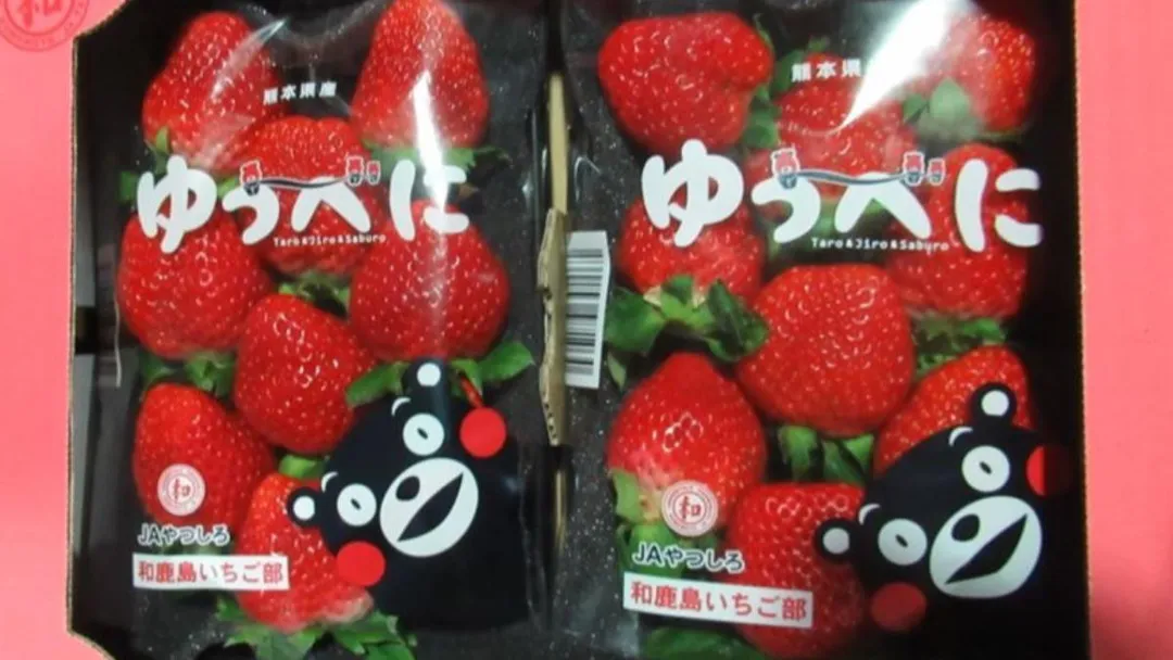食藥署公布邊境不合格品項，3批日本鮮草莓檢出農藥殘留超標，皆已退運或銷毀。（圖／食藥署提供）