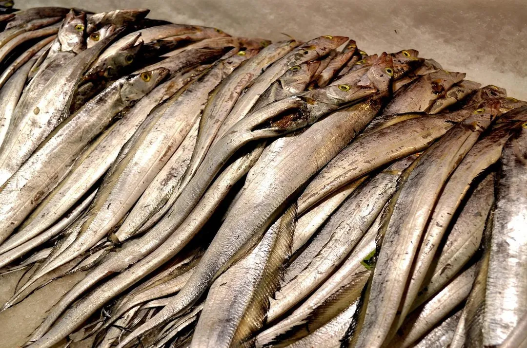 白帶魚本身是優質食物，蛋白質充足，脂肪含量屬於中等程度。（示意圖／Pixabay）