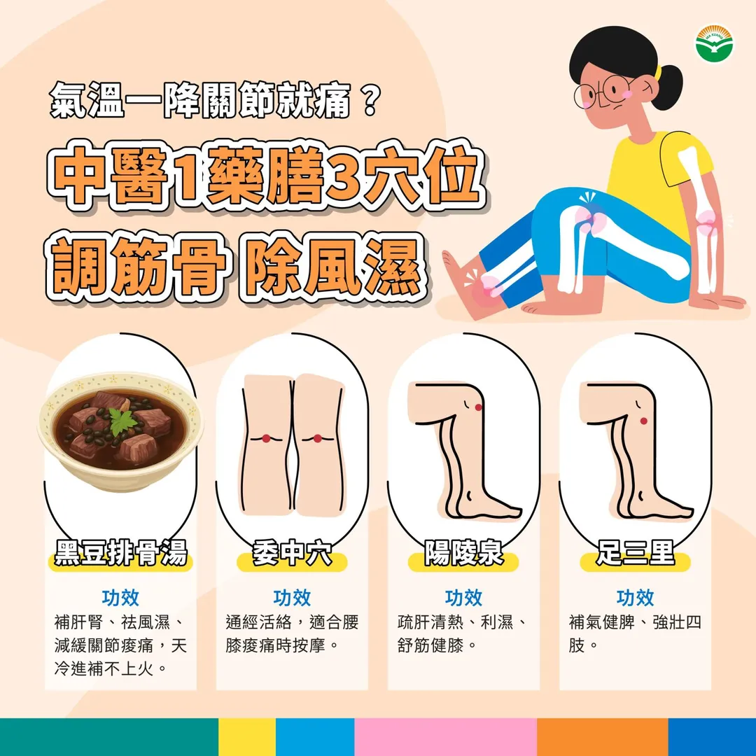 許哲維推薦天冷時可飲用除濕通絡黑豆排骨湯，具有補肝腎、祛風濕、減緩關節痠痛的功效。（圖／馬光中醫）
