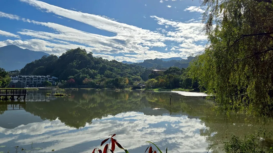 東勢林業文化園區風景如畫，貯木池面映照山明水秀之景。（圖／林保署台中分署提供）
