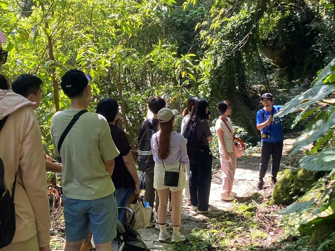 石碇烏塗社區步道植物解說。（圖／新北市政府提供）