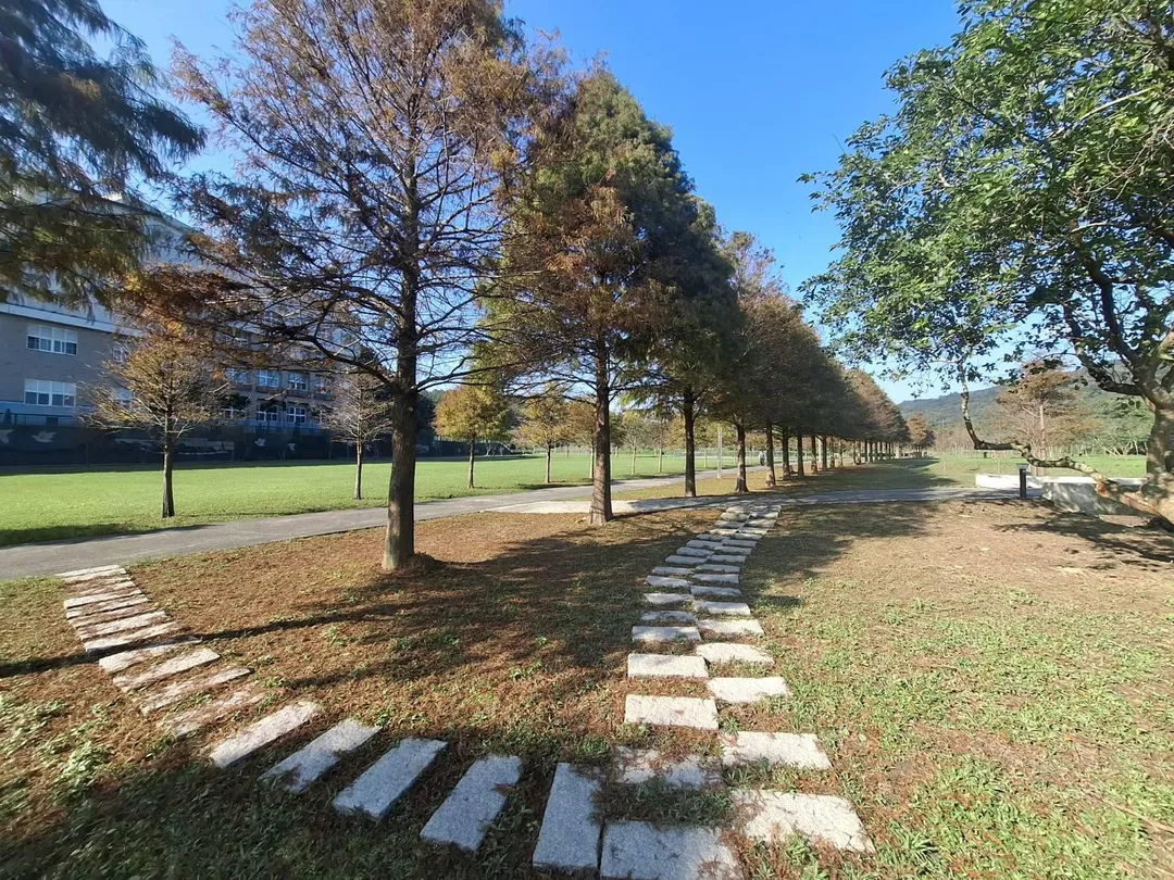 貢寮環保公園內開闊草地與林蔭交織,營造出悠閒漫遊氛圍。(圖/新北市政府提供)