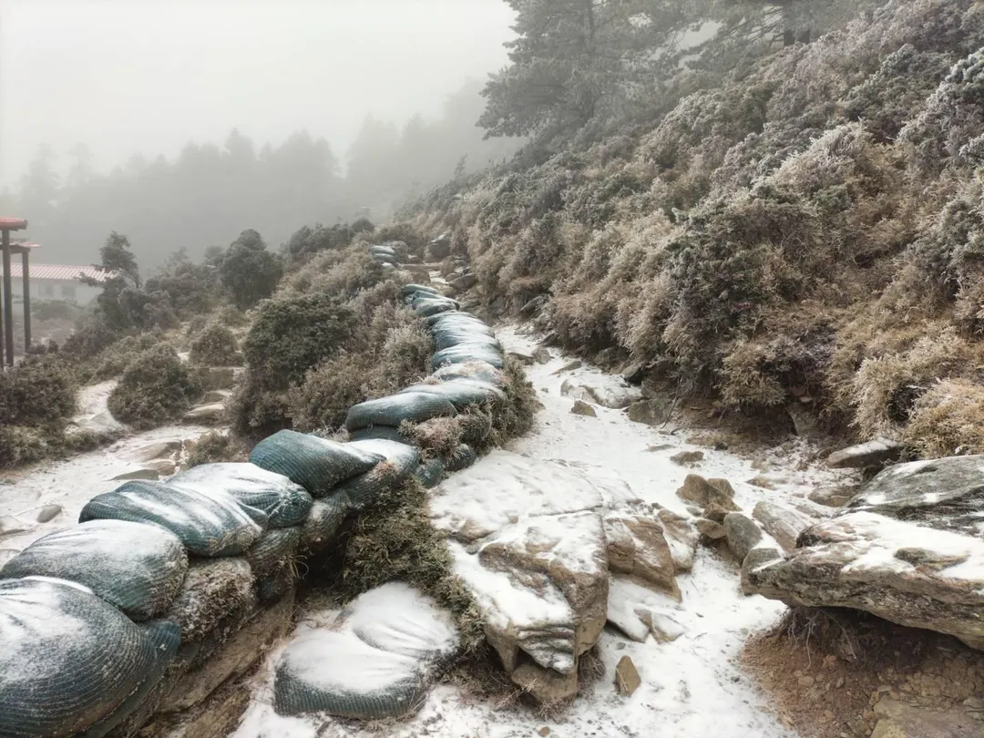 嘉明湖於1月8日凌晨4點左右迎來了今年的首場降雪，持續約30分鐘，讓整個山區瞬間變得銀白如畫。（圖／熊出沒企業提供）