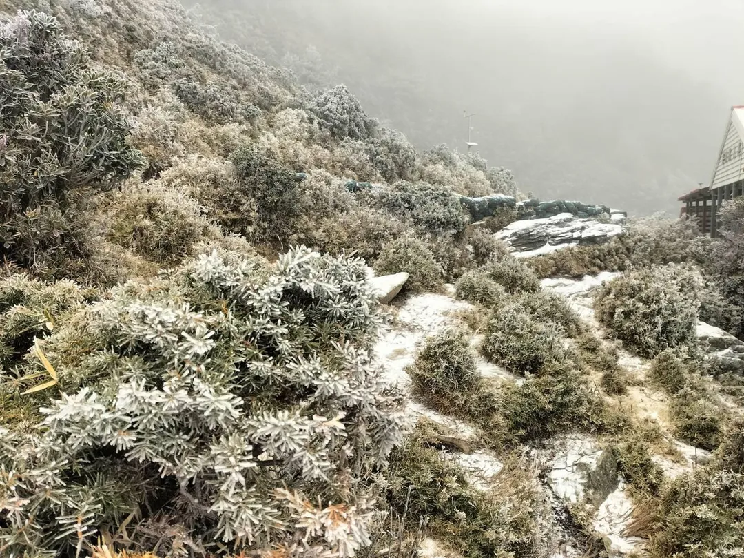 嘉明湖於1月8日凌晨4點左右迎來了今年的首場降雪，持續約30分鐘，讓整個山區瞬間變得銀白如畫。（圖／熊出沒企業提供）