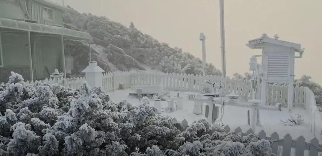玉山降雪。(圖/中央氣象署)
