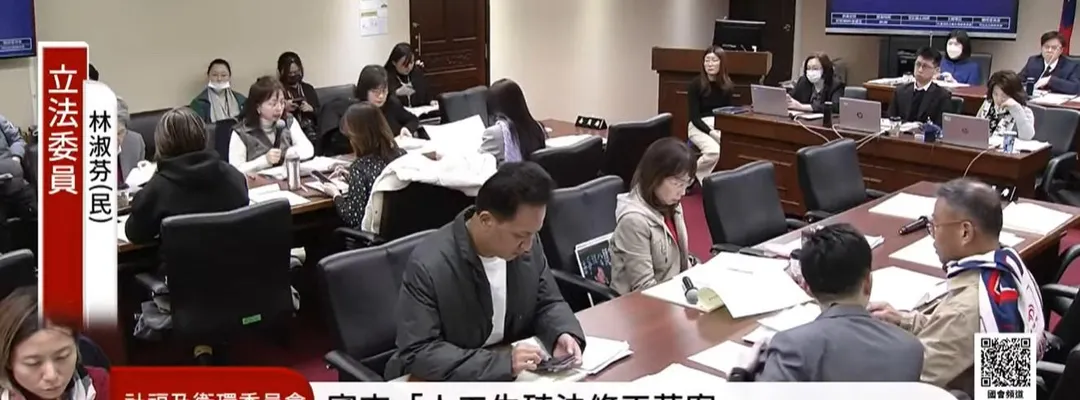 林淑芬在審查過程中強烈反對代理孕母。（圖／翻攝自國會頻道）