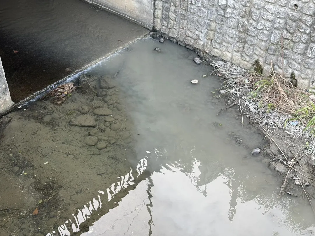遭污染之水體。（圖／環保局）