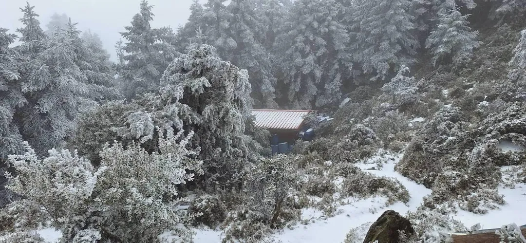 嘉明湖畔山屋與步道周邊被一層薄霜覆蓋，宛如仙境般美麗。（圖／嘉明湖竑閩企業熊出沒團隊授權提供，下同）