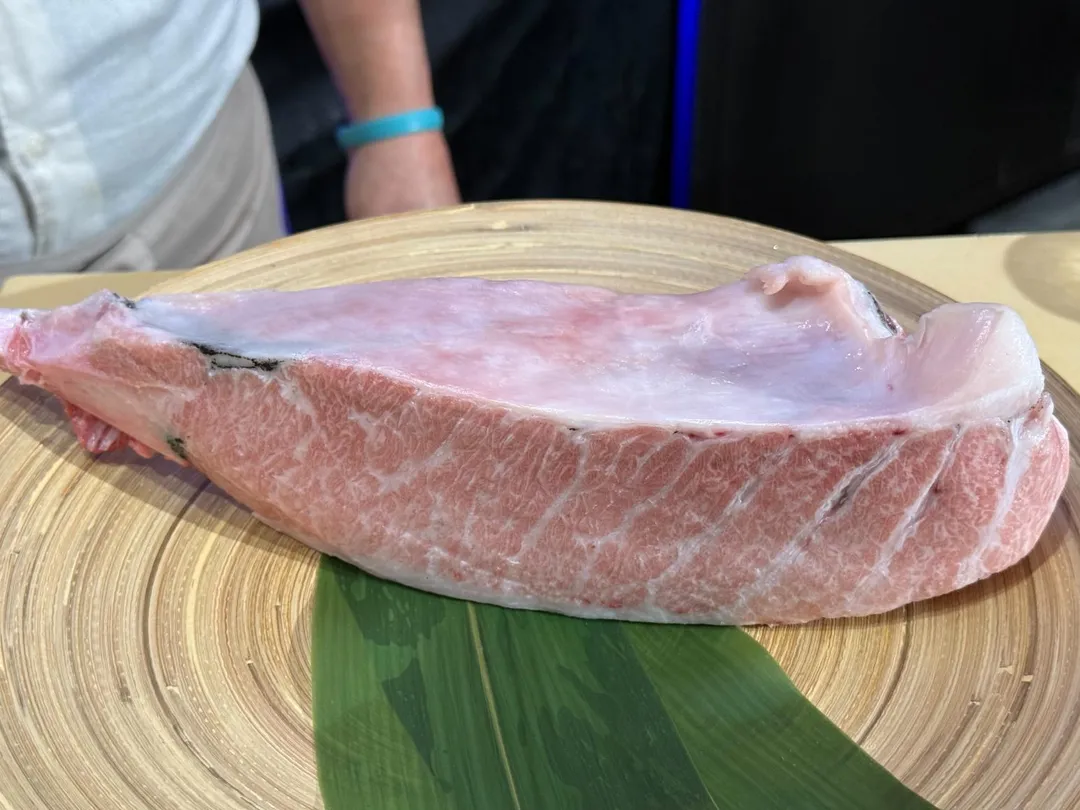 黑鮪魚近下巴部位乃是「金三角」，此處取得的粉白色大腹肉十分珍貴。（圖／黃宏輝提供）