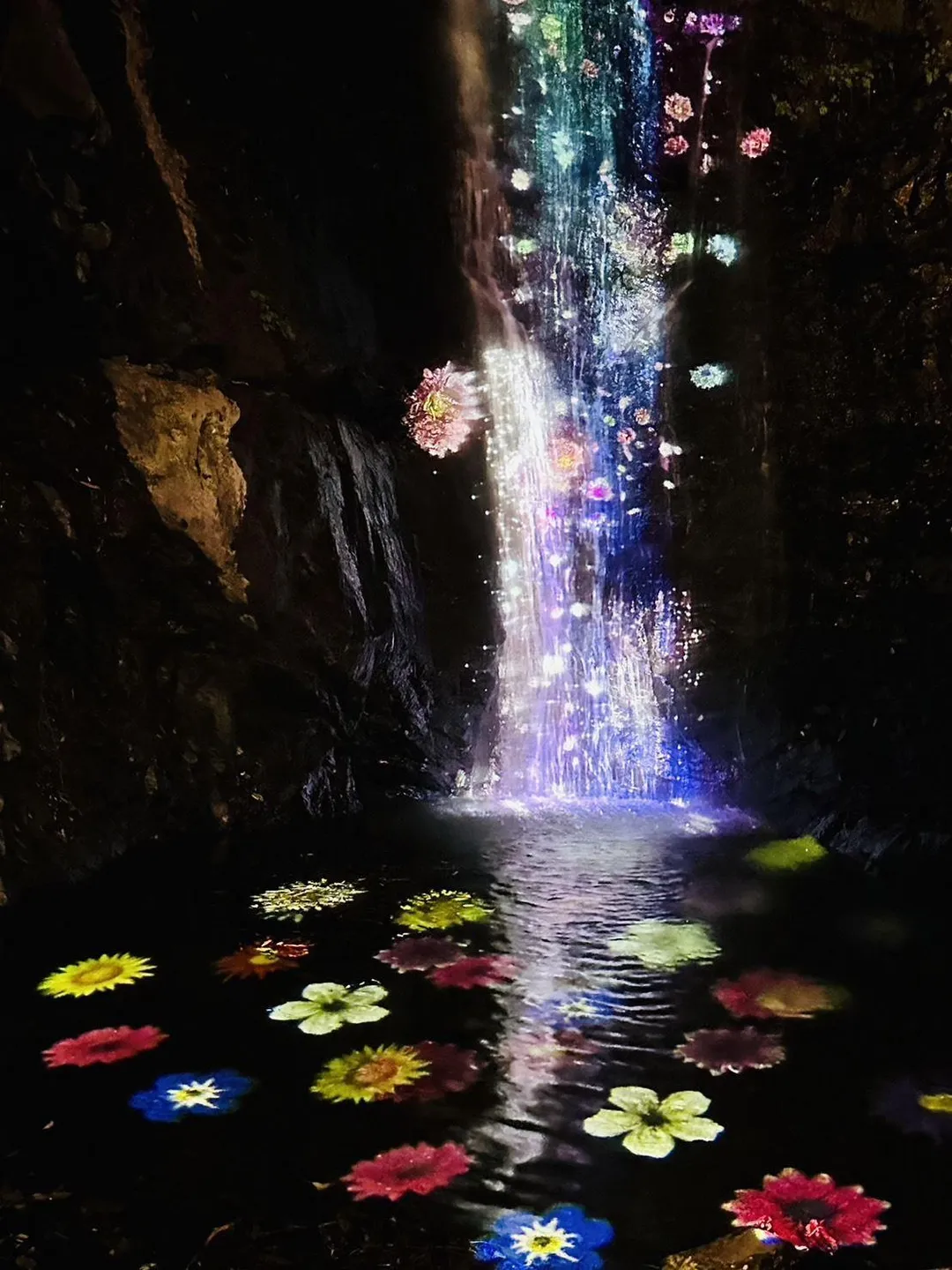 2026奇幻大津以「夜之覺旅 Journey In the Night」為核心概念，將熟悉的自然場域轉化為充滿想像力的夜間舞台。（圖／屏東縣政府文化處提供，下同）
