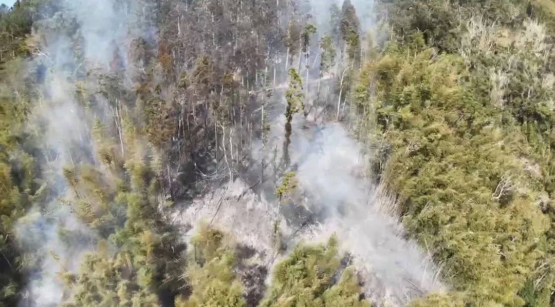 雲林縣古坑鄉草嶺村山林火警延燒30小時。（圖／翻攝畫面）