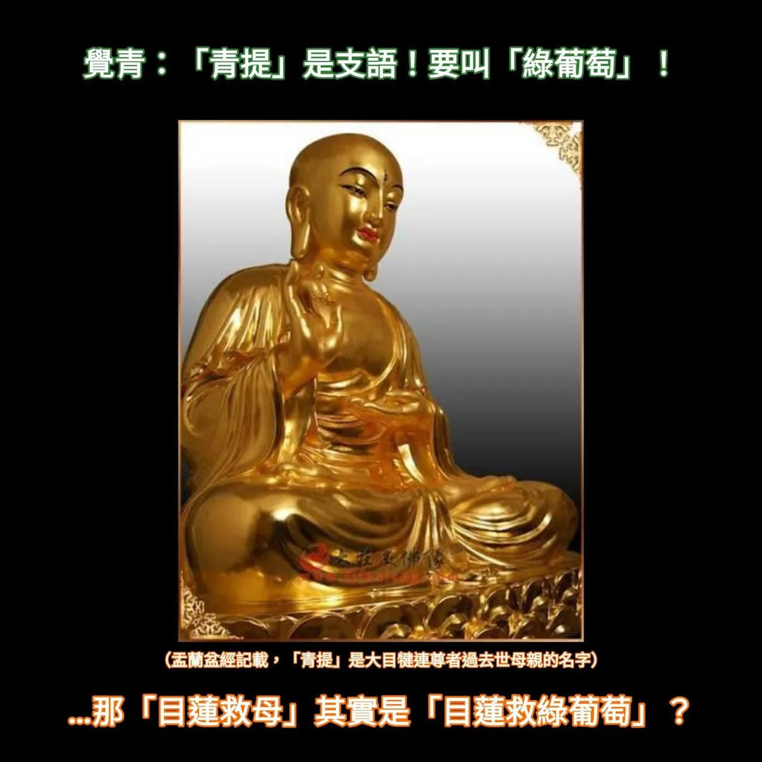 粉專打臉青鳥。（圖／我得了一種不刻薄會死的病粉專）