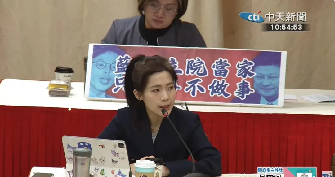 徐巧芯在彈劾總統賴清德公聽會上發表意見。（圖／中天新聞）