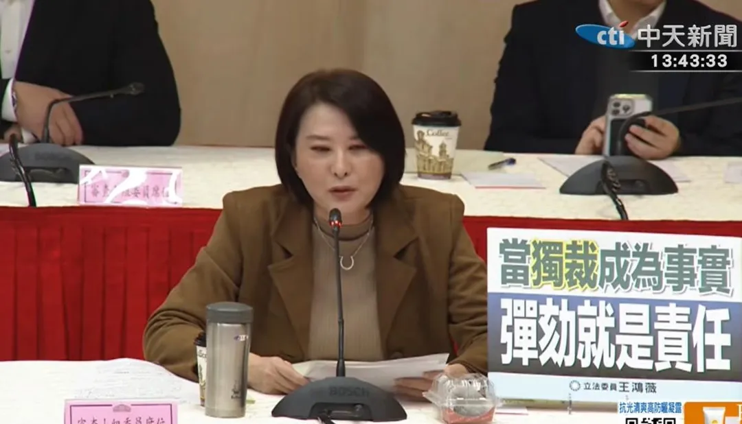 王鴻薇。(圖/中天新聞)