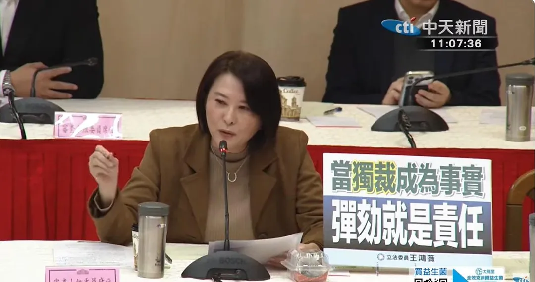 國民黨立委王鴻薇。（圖／中天新聞）