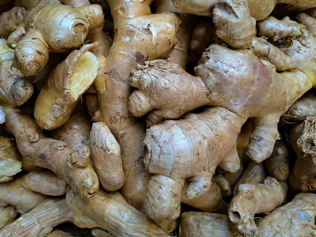 許多民眾習慣在天冷時煮薑茶驅寒,但薑買回家後常因用不完而發芽,引發能否繼續食用的疑慮。(示意圖/Pixabay)