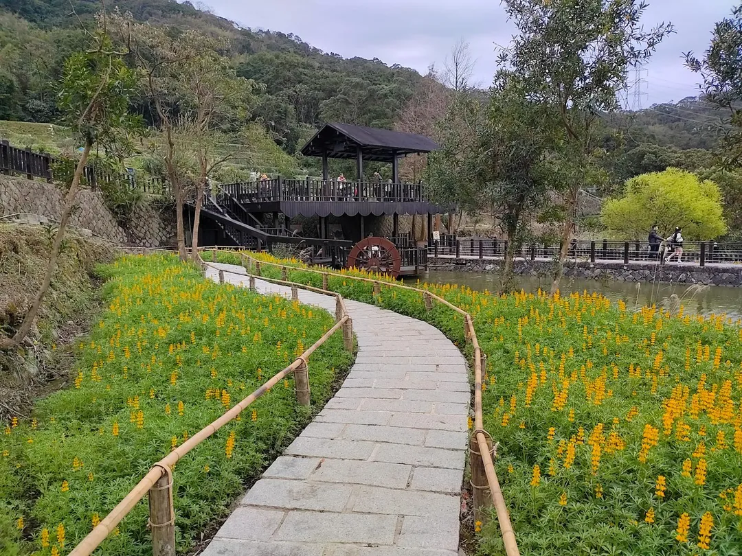 樟樹步道花海。(圖/台北市政府提供)