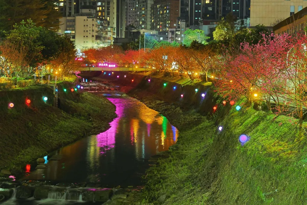 3.+康誥坑溪夜間亮起的「溪澗夜櫻」讓山櫻花在夜間燈光投射下，別有一番風味。（圖／新北市政府綠美化環境景觀處提供）