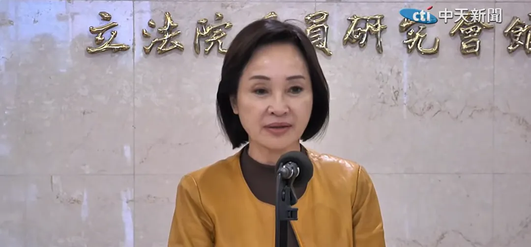 柯志恩。（圖／中天新聞）