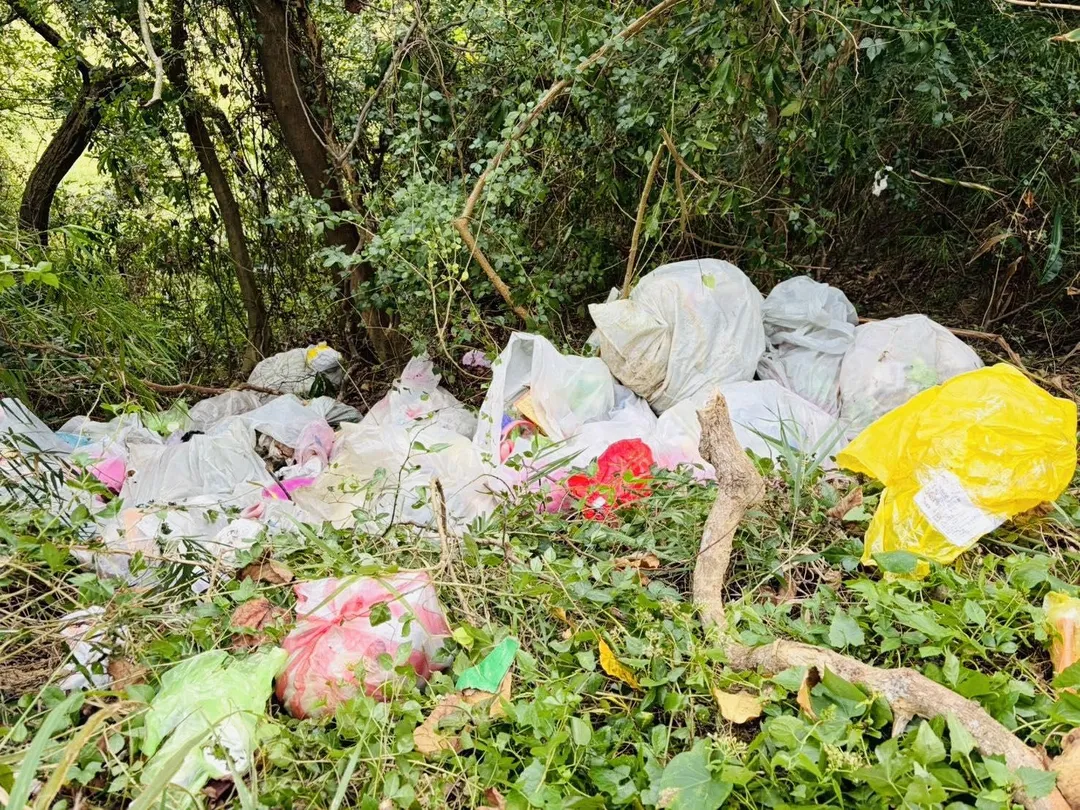 苗栗永和山水庫遭棄置40噸垃圾。（圖／縣議員陳光軒提供）