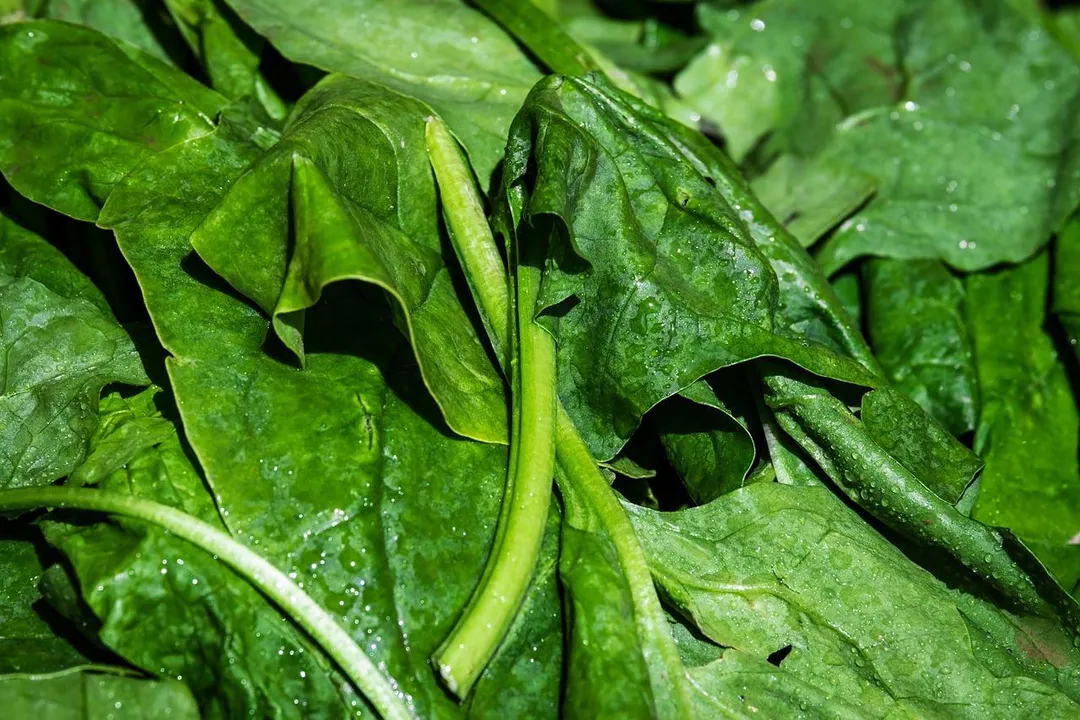 《本草綱目》上記載，菠菜根具有補血功效，能幫助改善氣色。（示意圖／Pixabay）