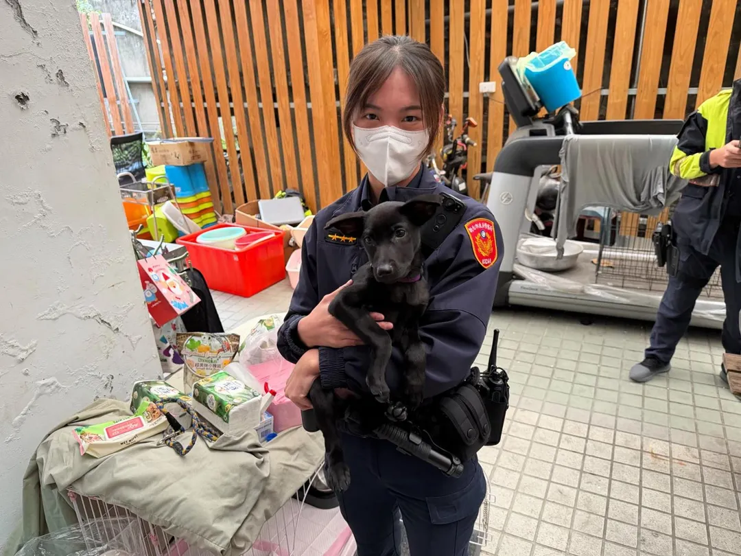 二重派出所至瑞芳動物之家認養母犬1隻，暫時命名「狗狗」。（圖／新北市動保處）