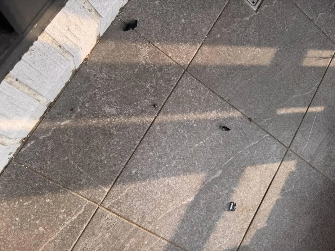 造成住宅陽台玻璃損毀的鋼珠。（圖／民眾提供）