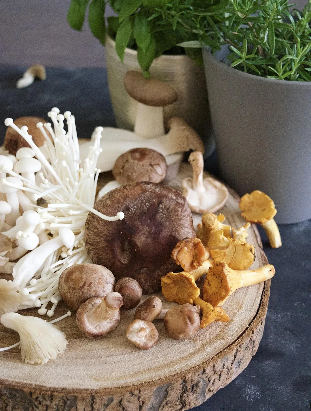 菇類。(示意圖/翻攝自pixabay)