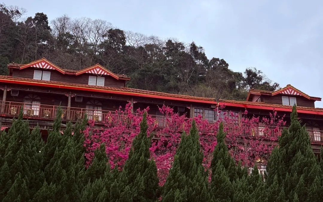 萬瑞森林樂園。（圖／翻攝自新竹縣旅遊網）