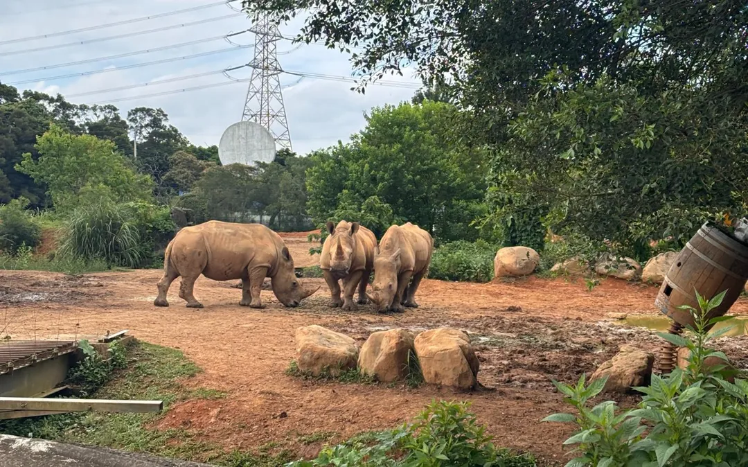 遊客能近距離觀賞野生動物生態之美。(圖/翻攝自新竹縣旅遊網)