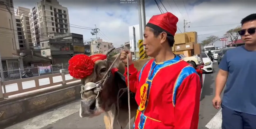 牛車載嫁妝。（圖／中天新聞）