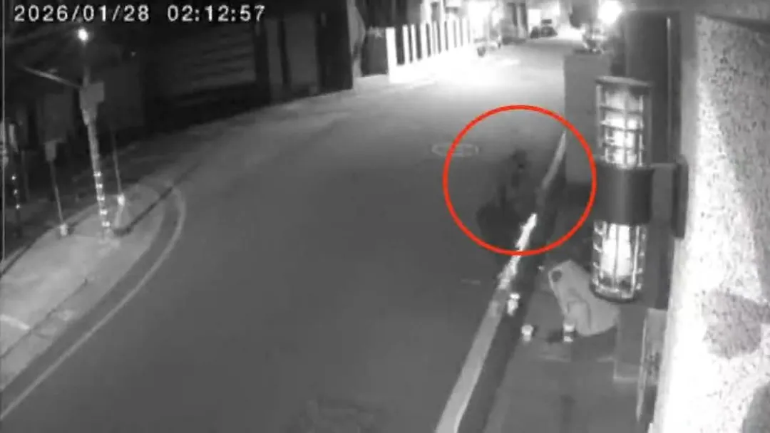 屏東縣一名52歲潘姓女子，因擅自將東港鎮興中東二街道路上的紅色標線塗改為白線，遭警方依法舉發。（圖／翻攝畫面）